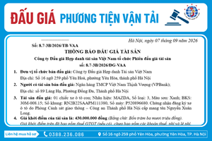 Thông Báo Đấu Giá Tài Sản số: 8.7-3B/2026/ĐG-VAA