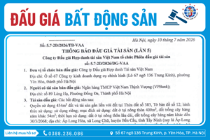 Thông Báo Đấu Giá: Quyền sử dụng 454m2 đất và tài sản gắn liền với đất tại Thửa đất số 383